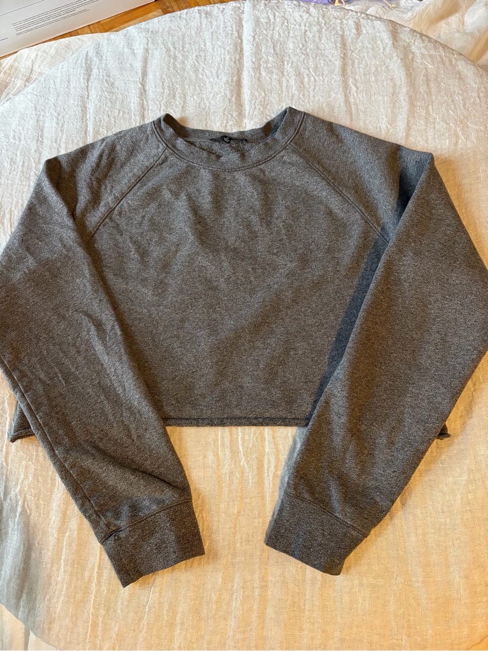 Aritzia Cropped Crewneck Sweatshirt - Charcoal Gray